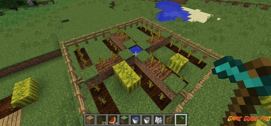Melon Farm in Minecraft