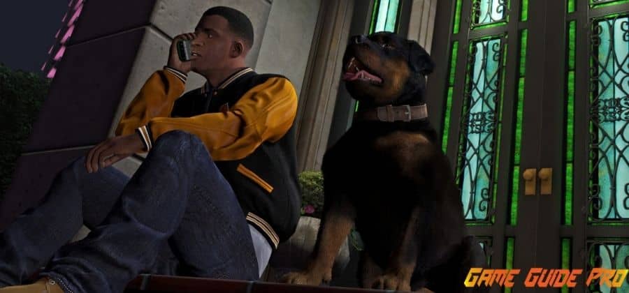 How to train a dog in GTA 5